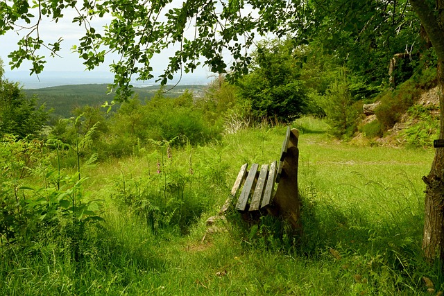 的智慧和耐 的智慧和耐