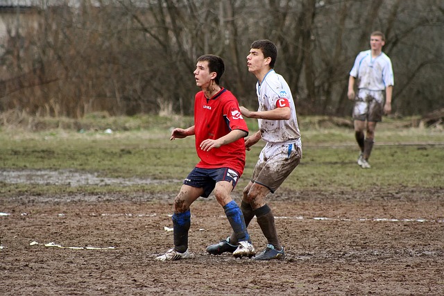 马匹和骑手 马匹和骑手