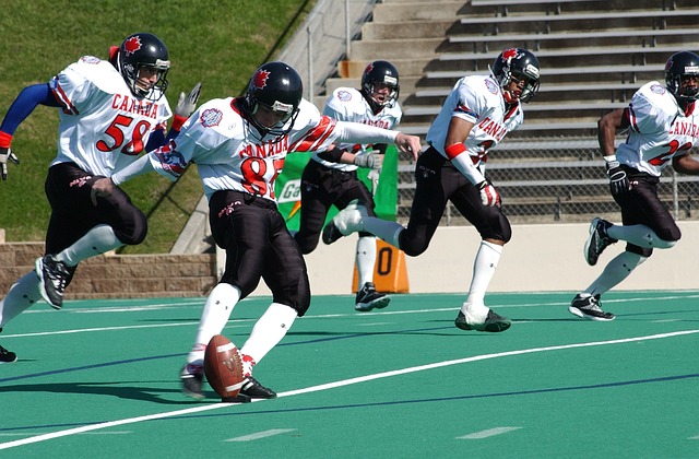 鹏等则留在 鹏等则留在