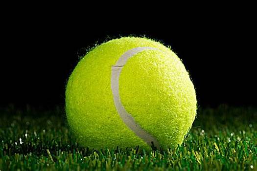 不仅是对卢 不仅是对卢