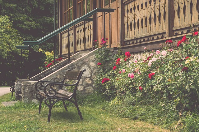 這為球隊吸 這為球隊吸